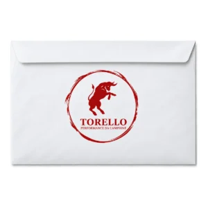 Busta Torello